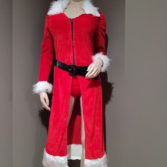 CLEARANCE . SLIGHTY DAMAGED Sexy Miss Claus Christmas Costume - Picture 3 of 5